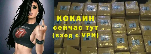 спиды Новодвинск