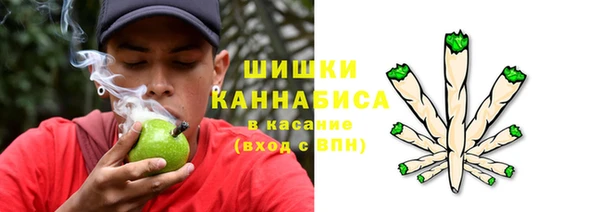 ГАЛЛЮЦИНОГЕННЫЕ ГРИБЫ Алзамай