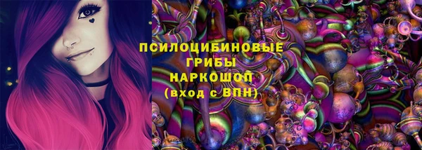 молекула духа Алексеевка