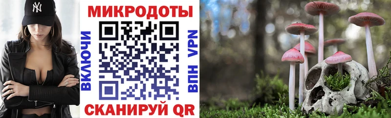 Псилоцибиновые грибы GOLDEN TEACHER  Перевоз 